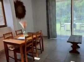 Appartement avec jardin