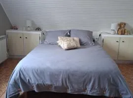 La chambre aux papillons