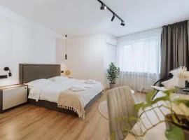 New Renovation 1BR with AC in Rascani