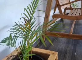The Palms Property