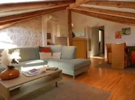 Apartments Radomir