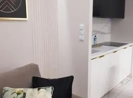 Apartament Premium Kopernika
