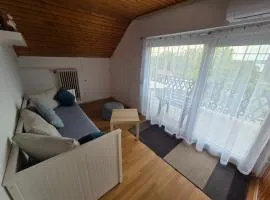Sophie Apartment with balcony