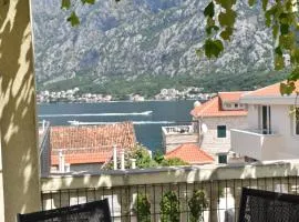 Mirkovic Apartments