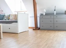 Superbe appartement - 5 mn du Zoo de Beauval (8p)