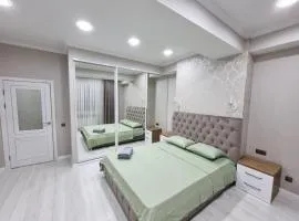 Modern Apartment with 2 rooms near Stefan cel Mare Boulevard