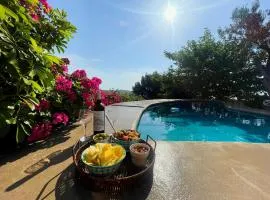 Kalliberry Cycladic Stone House Elissavet with private pool, nice view and fantastic sunsets