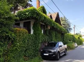 Borostyán Vendégház Badacsony