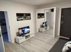 City of Grudziadz Apartament A1 42m Wi Fi