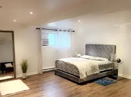 Bright and spacious basement unit in Montreal