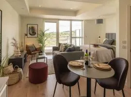 Large Luxurious Studio, Dublin18