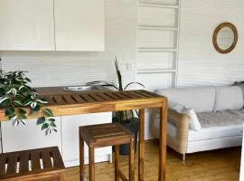 Sauna, tupa ja poreallas joen varrella