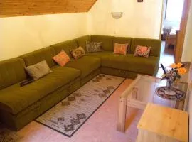 Apartment Balatonfenyves - Balaton 18401