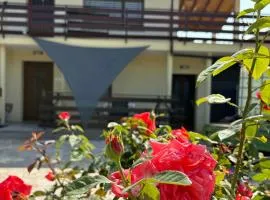Suzi Apartments