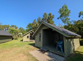 Henneby Camping - hytter, campsite in Henne Strand