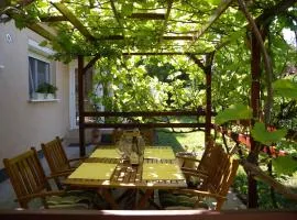 Apartment in Zamardi - Balaton 20369