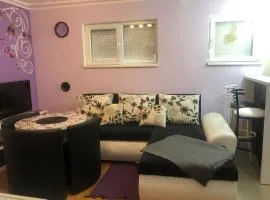 Apartment Danube