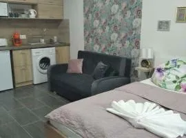 Studio in Csopak - Balaton 44876