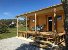 Woody caravan op de camping