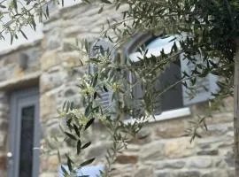 Servena's Damarionas Village