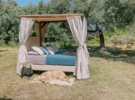 Star Sleep Kaloniktis Rethymno Olive Farm Escape