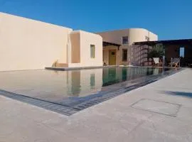 Aviola Mykonos