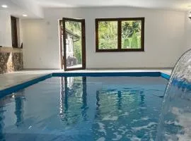 Big house with pool