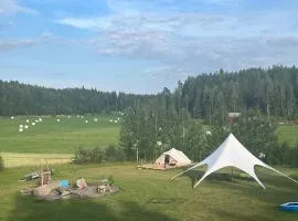Woodslope Camping