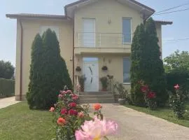 Apartament și garsonieră în vila Sara