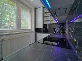 Magic experience 2 bedroom 70 m2 apartment in Tatranska Lomnica by Gavrieli
