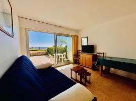 Quiberon - Studio de 28m² avec terrasse et parking - FR-1-478-93