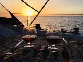 Magnificent sailboat with free parking for cars