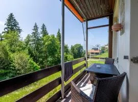 Balcony and Terrace with View and 15min to Interlaken