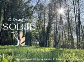 cabane ô domaine södjé