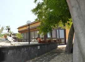 Zest House