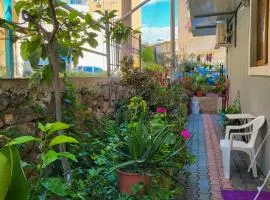 Hidden Garden Escape