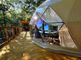 Falling Stars at Bull Shoals Lake, hotel a Oakland