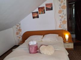 Casa Janina, Hotel in Moieciu de Sus
