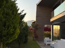 London Villa Olea Residence Drimades