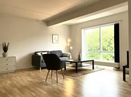 Spacious Apartment for 4