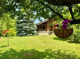Pine River Dobrenica - Private 4000 m2 Riverside Estate