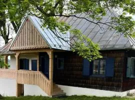 Casa cu copaci Romanian historical farmhouse
