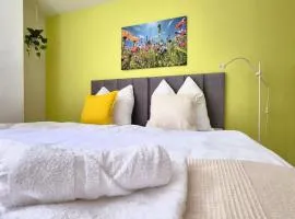 Nova Freiburg Dunantstraße