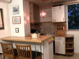 Feniks Apartment