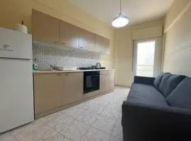 Mimicry Apartment