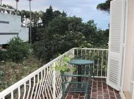 Guest House Zec - Studio with Terrace 3 Adults