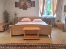Nr 9 Hübsche Suite mit Loggia in alte Villa mit Stadtblick und interessante Ausstattung Ohm Zimmer
