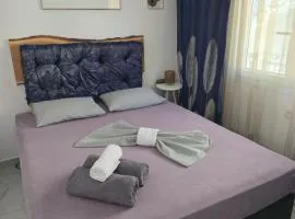 Luxury Angel Apartments 4