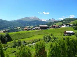 Apartment in Disentis with Garden, BBQ & Views, cleaning included