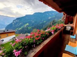 Apartment in Hippach near Ski Slopes, cleaning included